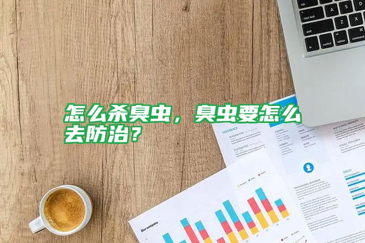 怎么殺臭蟲，臭蟲要怎么去防治？