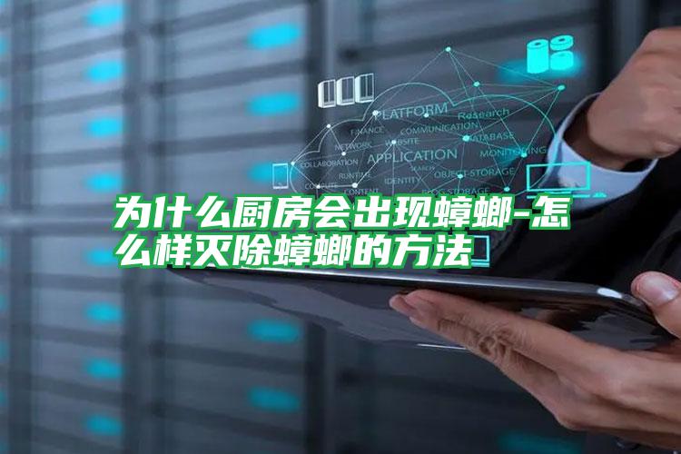 為什么廚房會(huì)出現(xiàn)蟑螂-怎么樣滅除蟑螂的方法