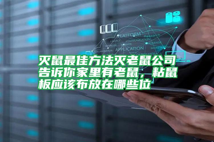 滅鼠最佳方法滅老鼠公司告訴你家里有老鼠，粘鼠板應(yīng)該布放在哪些位