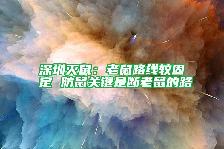 深圳滅鼠:老鼠路線(xiàn)較固定 防鼠關(guān)鍵是斷老鼠的路