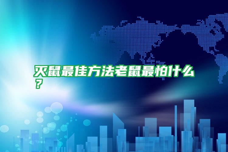 滅鼠最佳方法老鼠最怕什么？