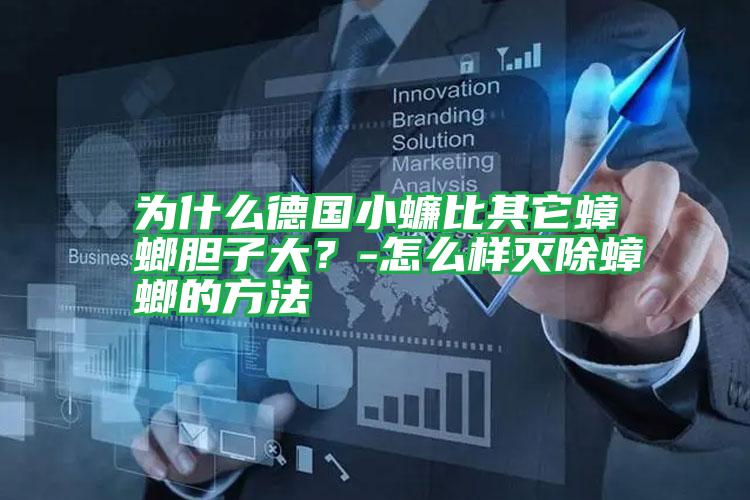 為什么德國(guó)小蠊比其它蟑螂膽子大？-怎么樣滅除蟑螂的方法