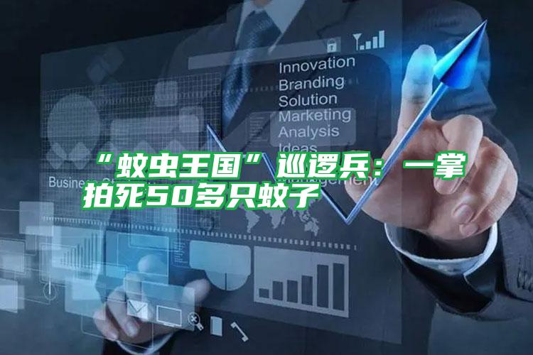 “蚊蟲(chóng)王國(guó)”巡邏兵：一掌拍死50多只蚊子
