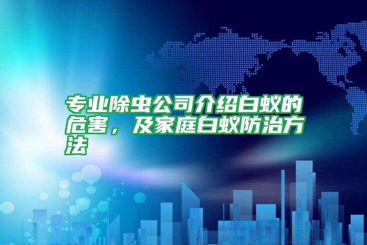 專業(yè)除蟲公司介紹白蟻的危害，及家庭白蟻防治方法