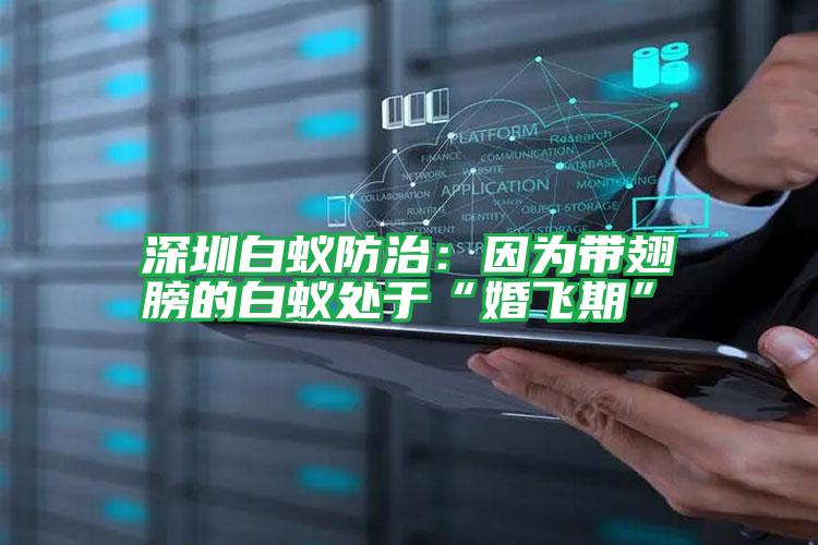 深圳白蟻防治:因?yàn)閹С岚虻陌紫佁幱凇盎轱w期”