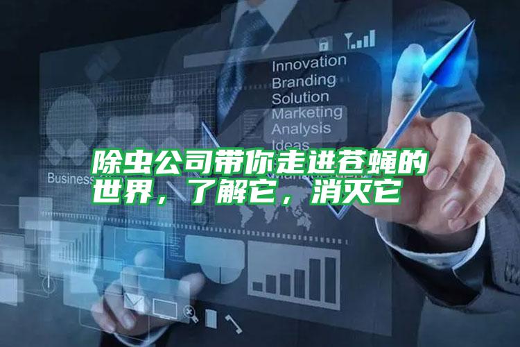 除蟲公司帶你走進(jìn)蒼蠅的世界,了解它,消滅它