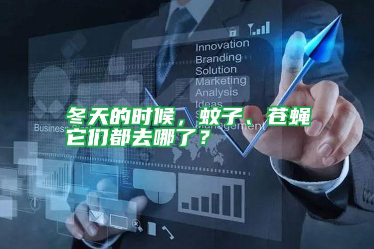 冬天的時候，蚊子、蒼蠅它們都去哪了？