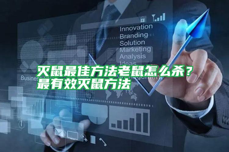滅鼠最佳方法老鼠怎么殺？最有效滅鼠方法