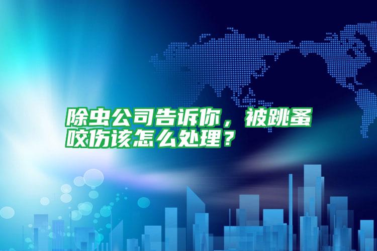 除蟲公司告訴你,被跳蚤咬傷該怎么處理?