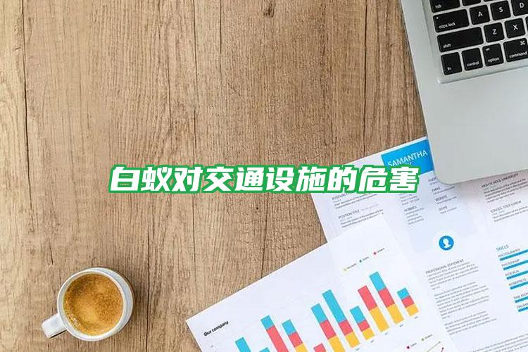 白蟻對交通設施的危害