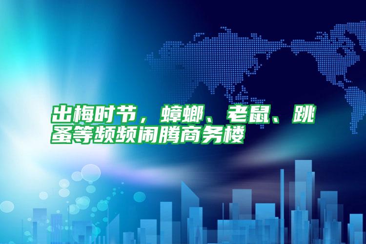 出梅時節(jié),蟑螂、老鼠、跳蚤等頻頻鬧騰商務樓