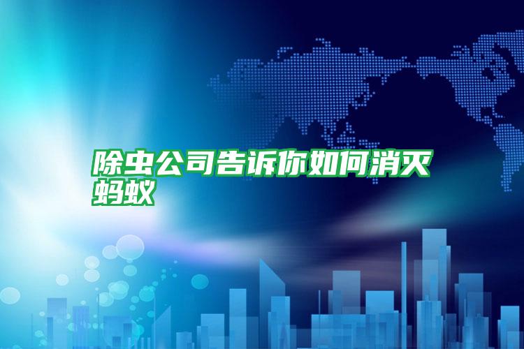 除蟲公司告訴你如何消滅螞蟻