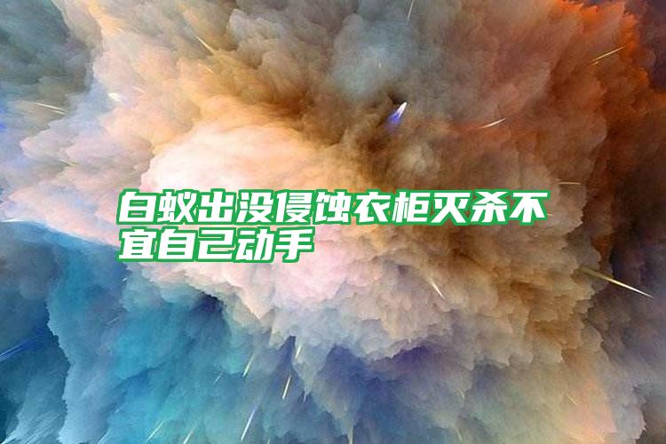 白蟻出沒侵蝕衣柜滅殺不宜自己動(dòng)手