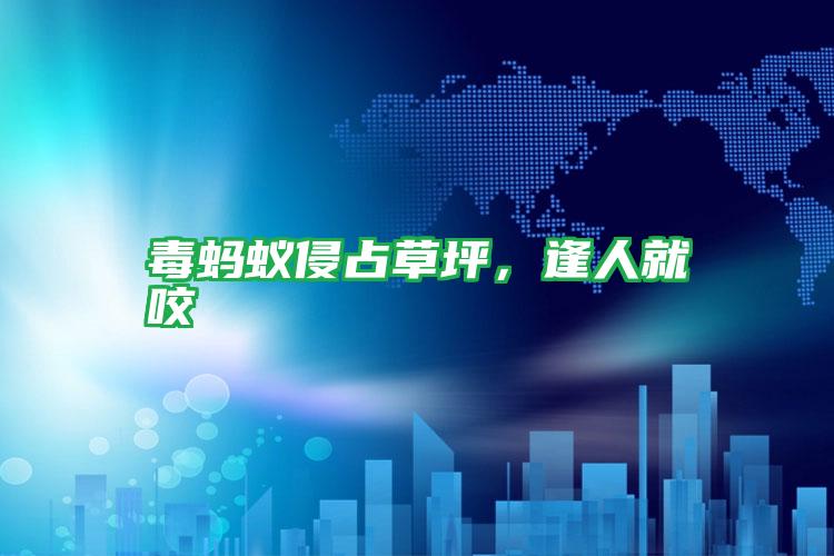 毒螞蟻侵占草坪，逢人就咬