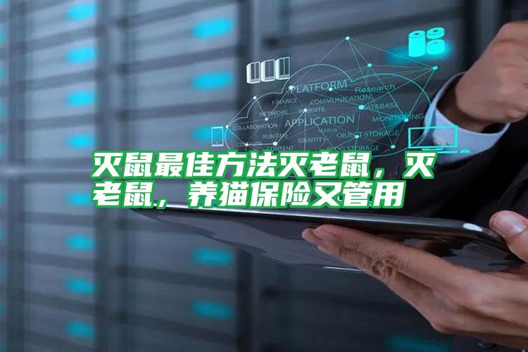 滅鼠最佳方法滅老鼠，滅老鼠，養(yǎng)貓保險(xiǎn)又管用