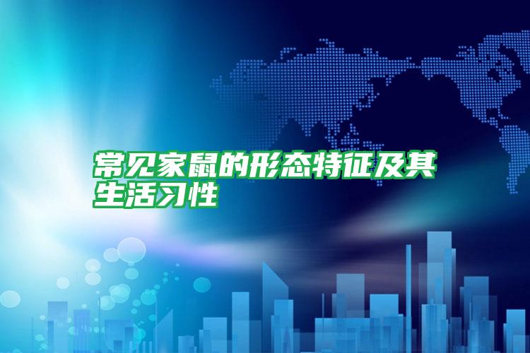 常見家鼠的形態(tài)特征及其生活習性