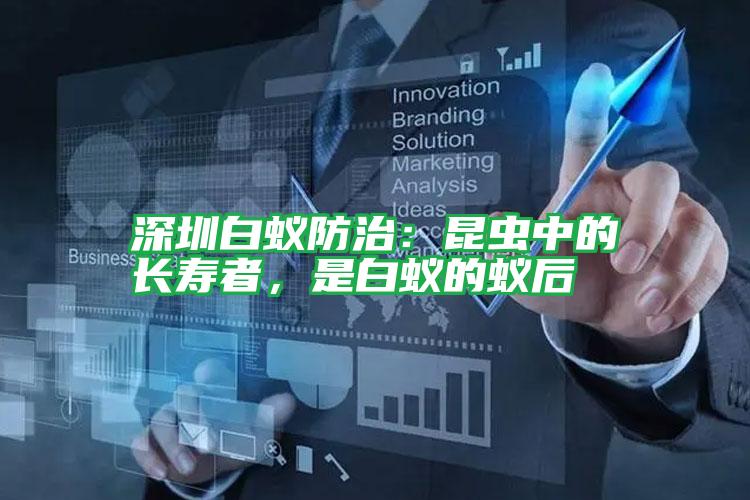 深圳白蟻防治：昆蟲中的長(zhǎng)壽者，是白蟻的蟻后