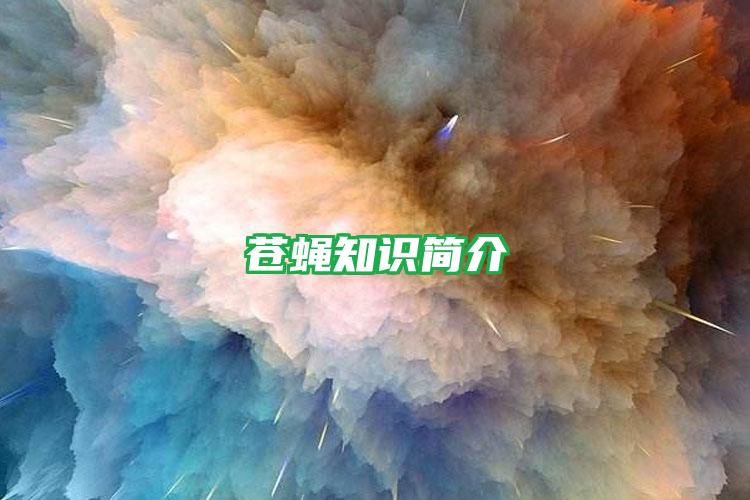 蒼蠅知識(shí)簡(jiǎn)介