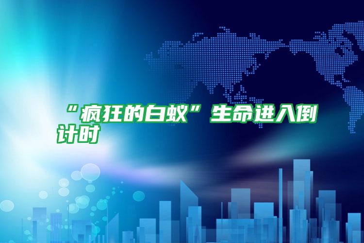 “瘋狂的白蟻”生命進(jìn)入倒計(jì)時(shí)
