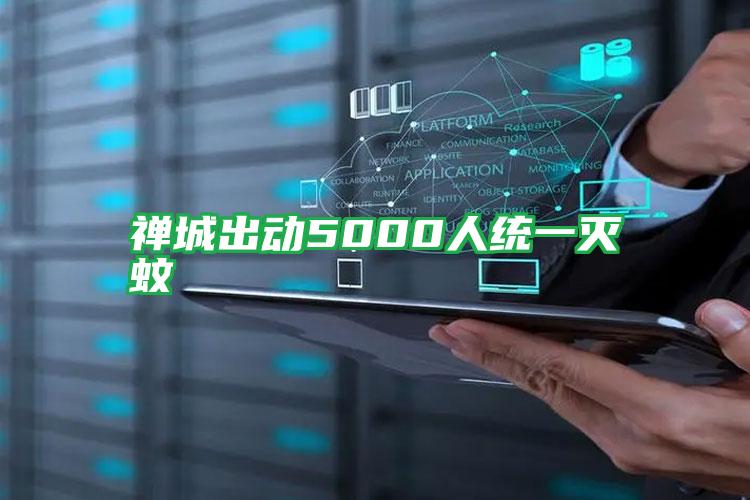 禪城出動(dòng)5000人統(tǒng)一滅蚊