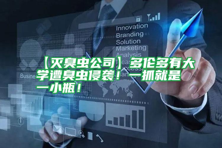 【滅臭蟲公司】多倫多有大學(xué)遭臭蟲侵襲！一抓就是一小瓶！