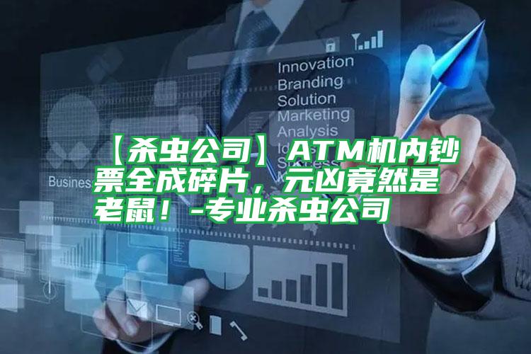 【殺蟲(chóng)公司】ATM機(jī)內(nèi)鈔票全成碎片，元兇竟然是老鼠！-專(zhuān)業(yè)殺蟲(chóng)公司