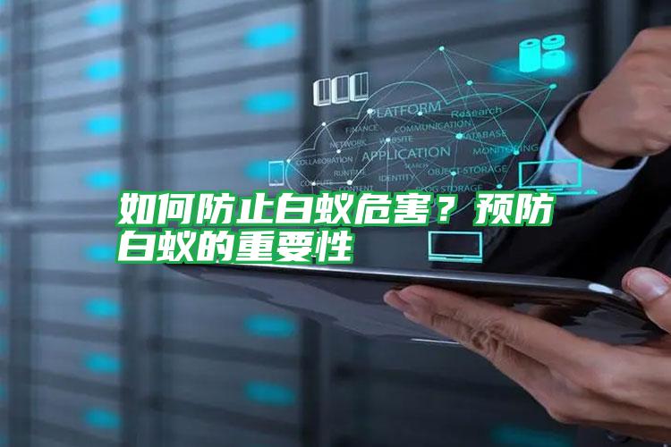 如何防止白蟻危害？預(yù)防白蟻的重要性