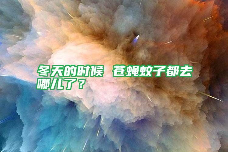 冬天的時候 蒼蠅蚊子都去哪兒了?