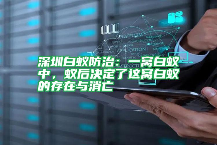深圳白蟻防治：一窩白蟻中，蟻后決定了這窩白蟻的存在與消亡