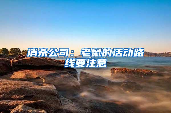 消殺公司：老鼠的活動路線要注意