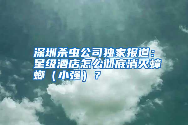 深圳殺蟲公司獨家報道：星級酒店怎么徹底消滅蟑螂（小強）？