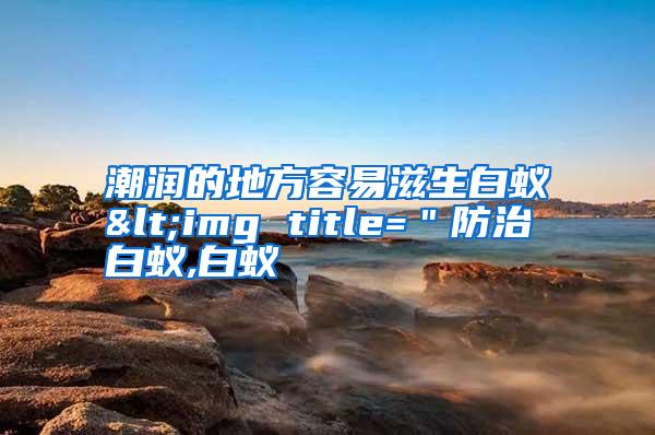 潮潤(rùn)的地方容易滋生白蟻<img title="防治白蟻,白蟻