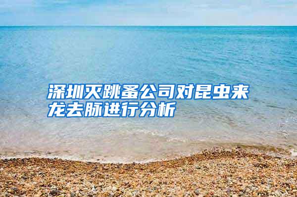 深圳滅跳蚤公司對昆蟲來龍去脈進行分析