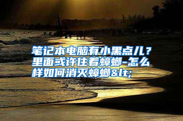 筆記本電腦有小黑點兒?里面或許住著蟑螂-怎么樣如何消滅蟑螂<