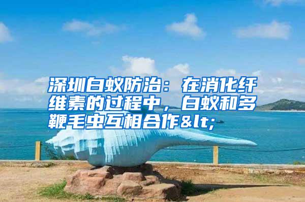深圳白蟻防治：在消化纖維素的過程中，白蟻和多鞭毛蟲互相合作<
