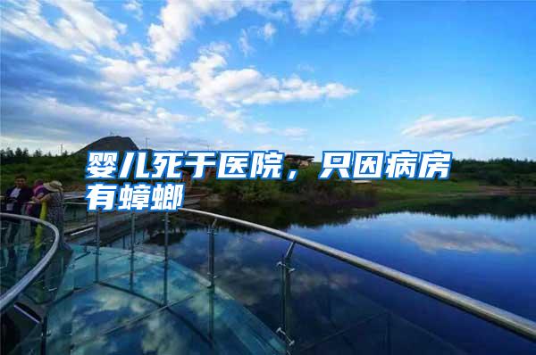 嬰兒死于醫(yī)院，只因病房有蟑螂