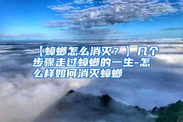 【蟑螂怎么消滅?】幾個步驟走過蟑螂的一生-怎么樣如何消滅蟑螂