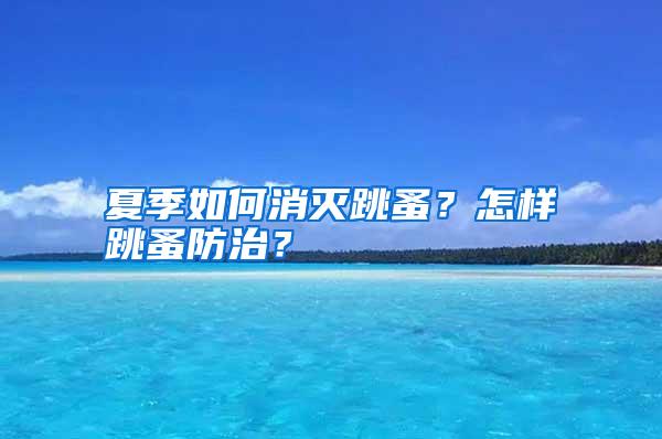夏季如何消滅跳蚤？怎樣跳蚤防治？