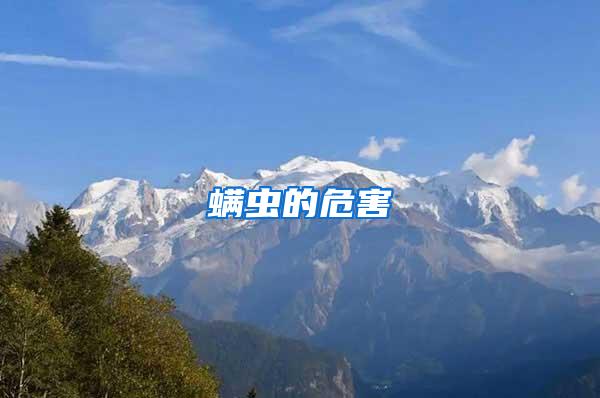 螨蟲(chóng)的危害