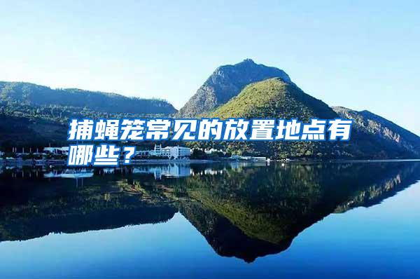捕蠅籠常見的放置地點有哪些?