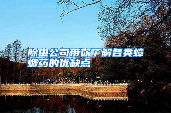 除蟲公司帶你了解各類蟑螂藥的優(yōu)缺點