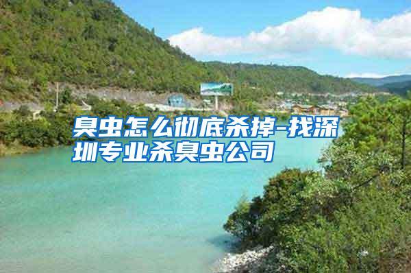 臭蟲(chóng)怎么徹底殺掉-找深圳專(zhuān)業(yè)殺臭蟲(chóng)公司