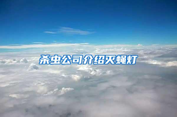 殺蟲(chóng)公司介紹滅蠅燈