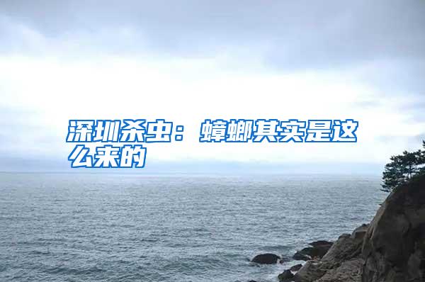 深圳殺蟲：蟑螂其實是這么來的