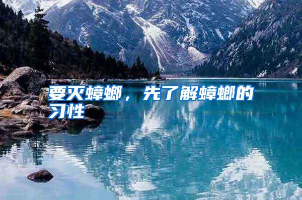 要滅蟑螂，先了解蟑螂的習(xí)性