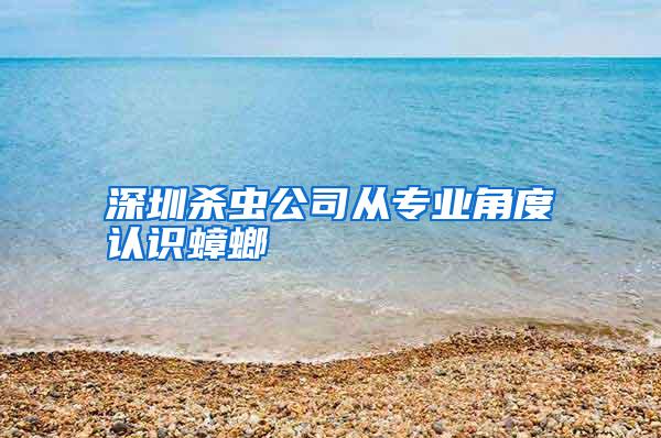 深圳殺蟲(chóng)公司從專(zhuān)業(yè)角度認(rèn)識(shí)蟑螂