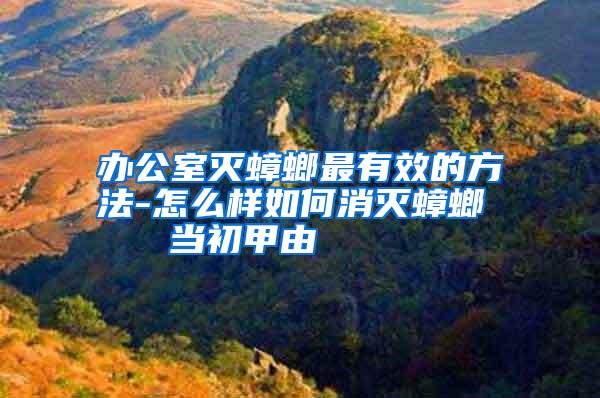 辦公室滅蟑螂最有效的方法-怎么樣如何消滅蟑螂 當(dāng)初甲由