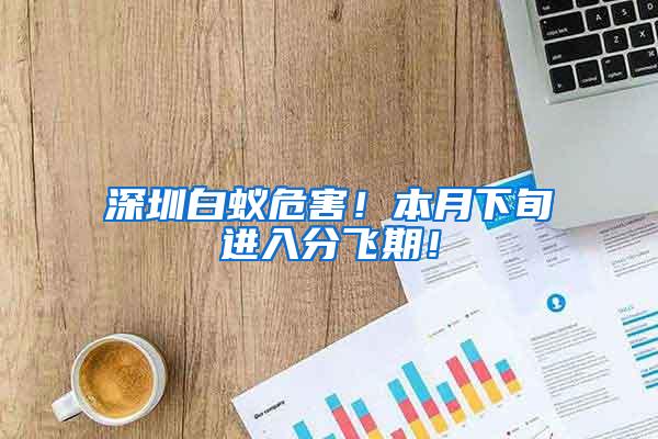 深圳白蟻危害！本月下旬進入分飛期！