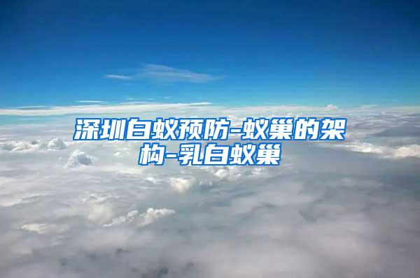 深圳白蟻預防-蟻巢的架構(gòu)-乳白蟻巢