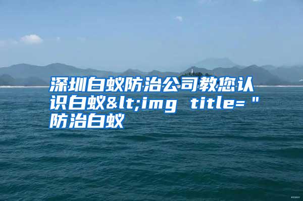 深圳白蟻防治公司教您認識白蟻<img title="防治白蟻